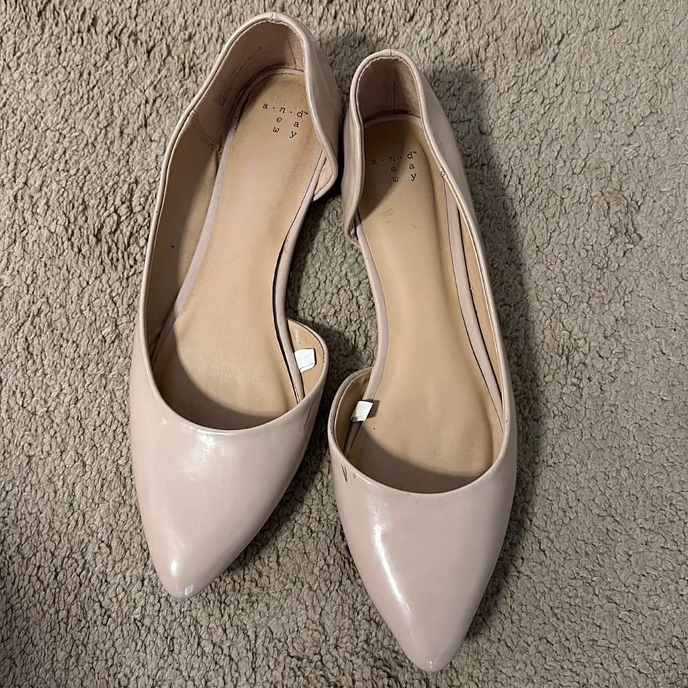 Pointed Toe Flats